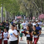 Run for your cause Participant Satisfaction Survey